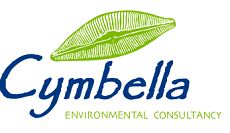 Cymbella